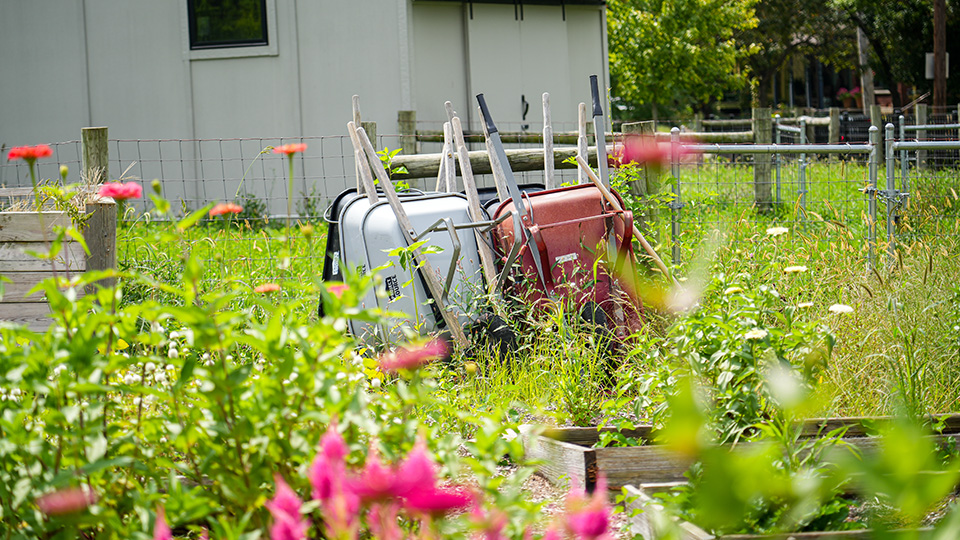 Garden tools and wheelbarrows surrounded by colorful flowers and raised garden beds at Paramount Cottage Home