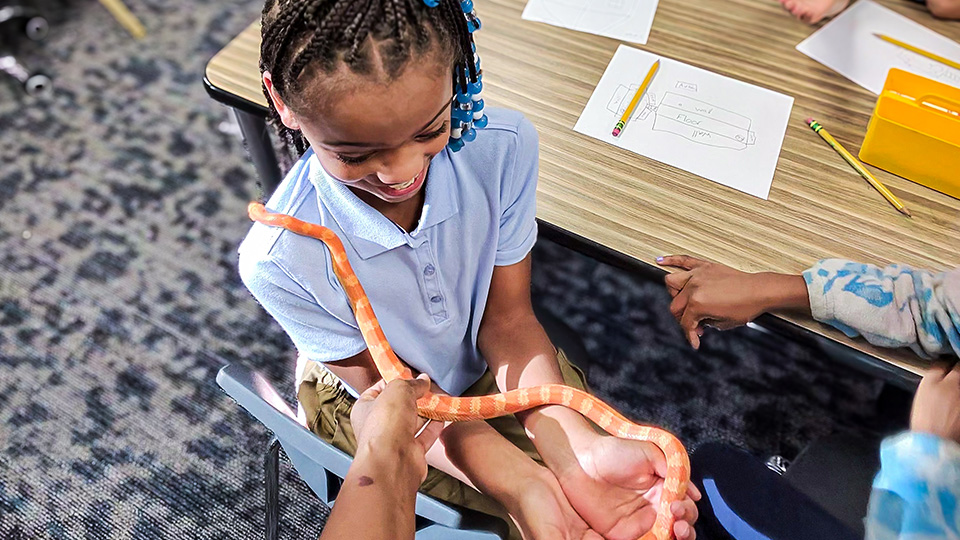 gisa-features-1 Girls IN STEM Academy student holding a snake during a hands-on science learning activity